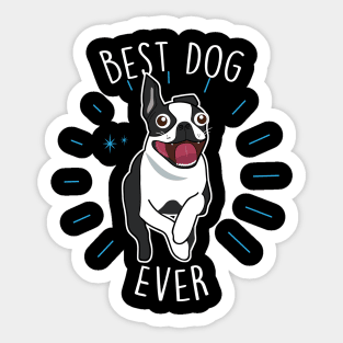 Boston Terrier Best Dog Sticker